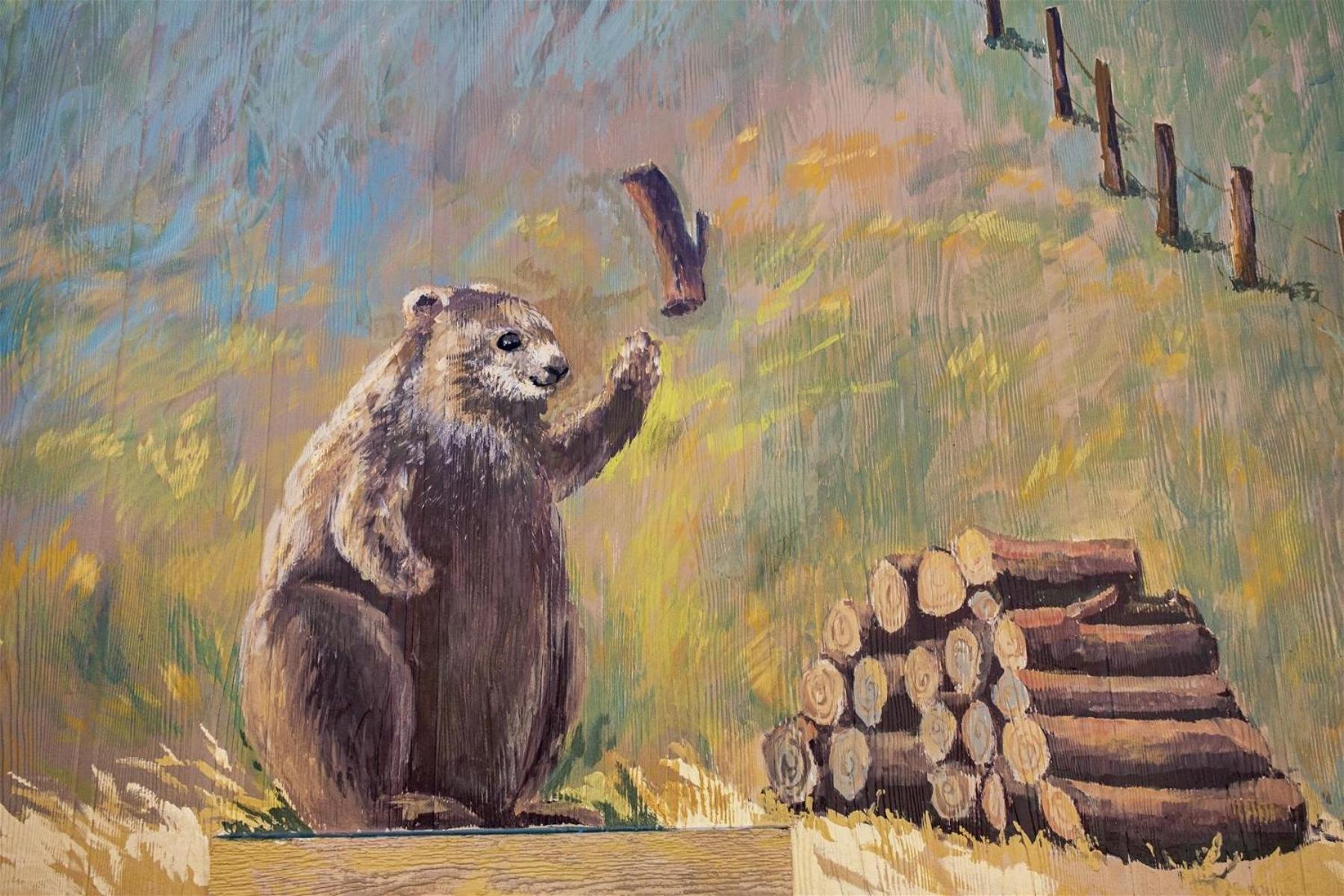 Woodchuck Flat Villa Fort Bragg Eksteriør bilde